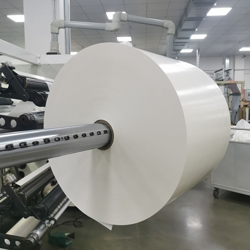 25um Candida PET / Acrylic Solvent tenaces / 80g Liner