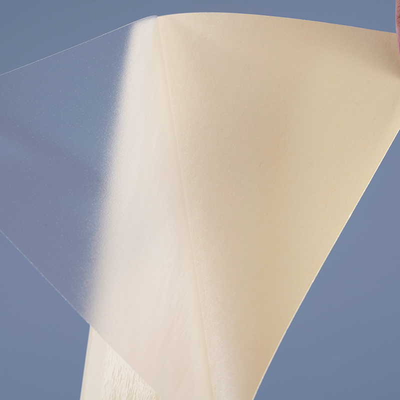 50mic Transparens Self Adhesive Polyester Film Vinyl Sticker Typographia Label Jumbo Roll