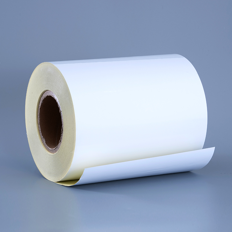 50mic Glossy White Polyester Film sui tenaces Label Cum Removable tenaces Sin repugnans et summus Temperature repugnans