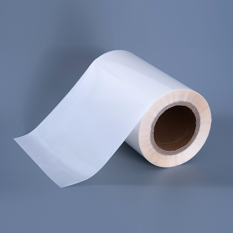 50mic Transparens Self Adhesive Polyester Film Vinyl Sticker Typographia Label Jumbo Roll