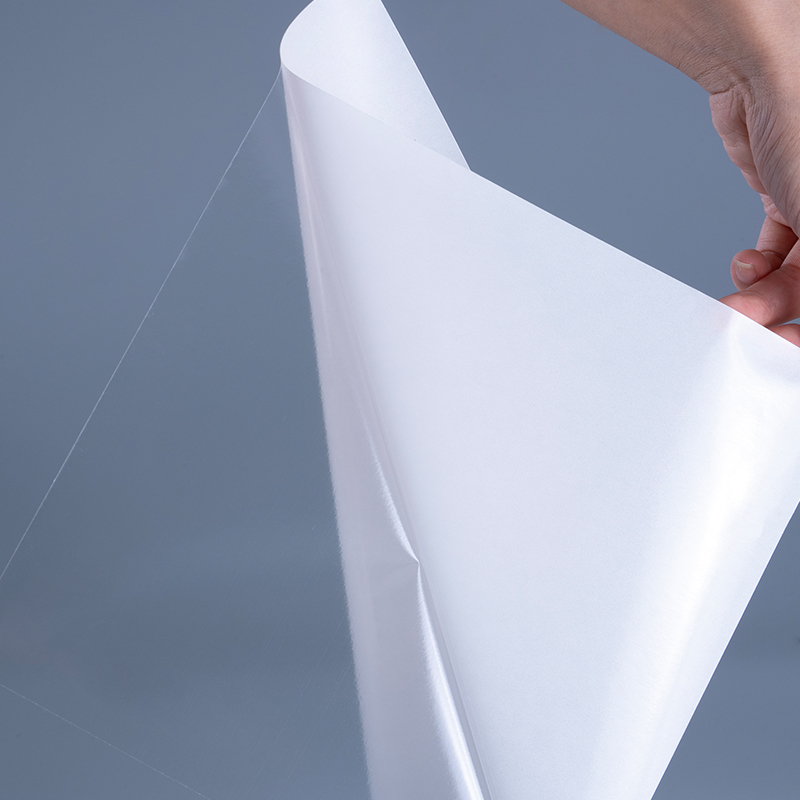 50mic Transparens Self Adhesive Polyester Film Vinyl Sticker Typographia Label Jumbo Roll