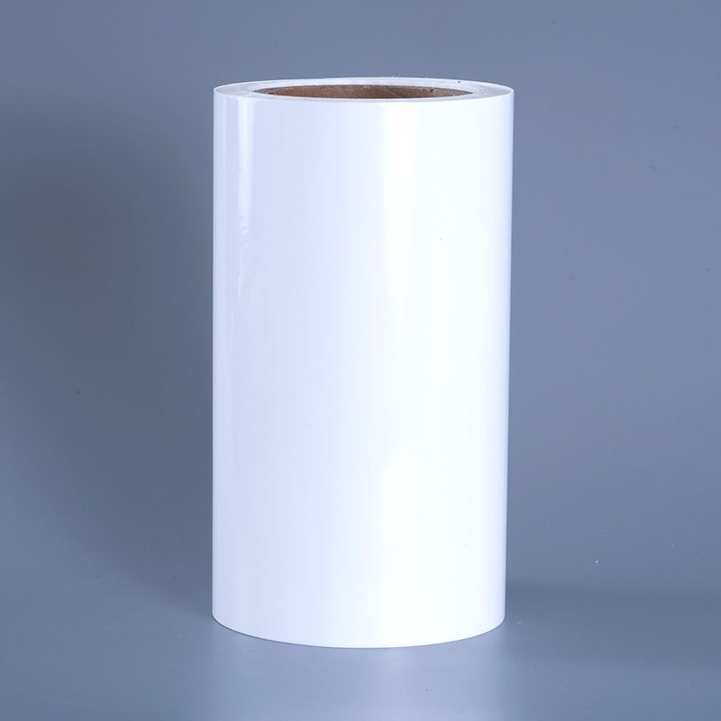 25mic Glossae PET Vinyl Film Label Materiales cum Acrylico Adhesivo Jumbo Roll pro Inkjet Typographia