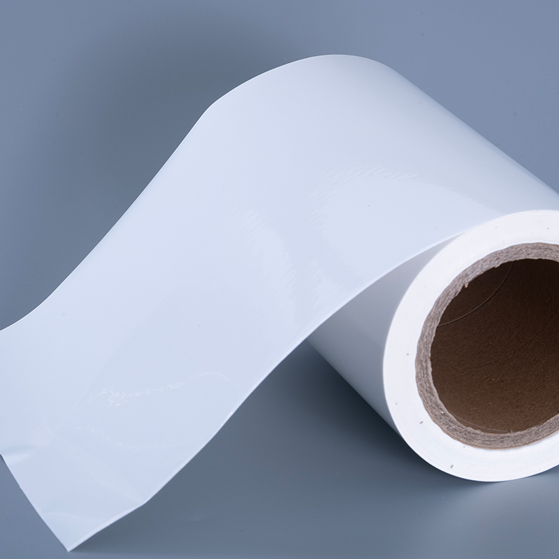 25mic Glossae PET Vinyl Film Label Materiales cum Acrylico Adhesivo Jumbo Roll pro Inkjet Typographia