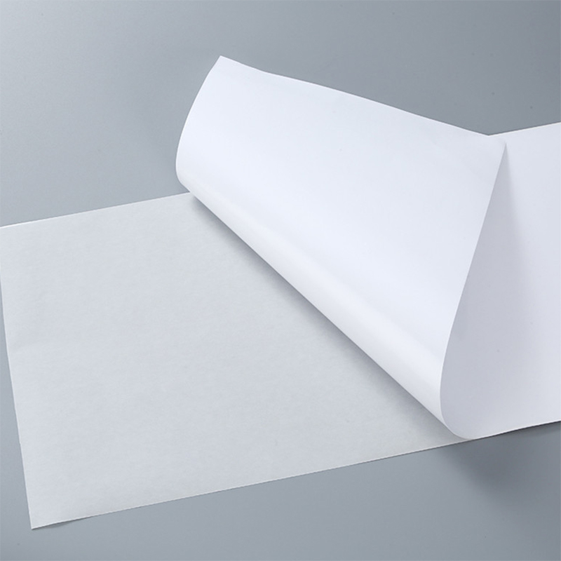 75gsm Scelerisque Synthetic Paper Roll Cum Quid tenaces