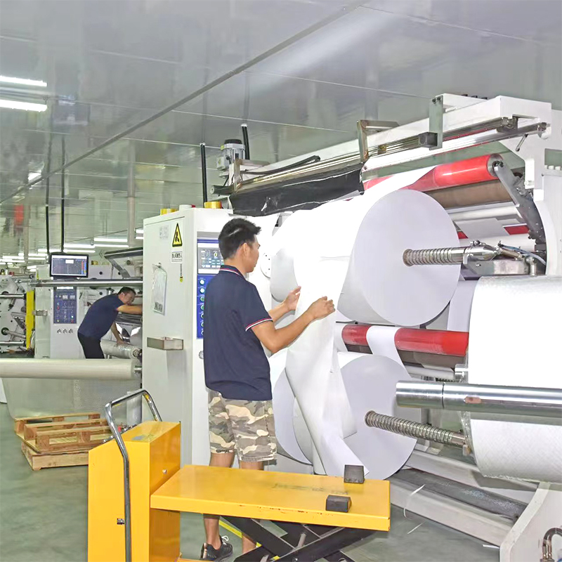 Sui tenaces Polyester film pro laser Printers